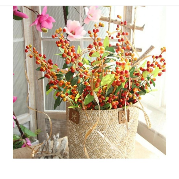 Meet your Posher, Sandy - Picture 1 of 1